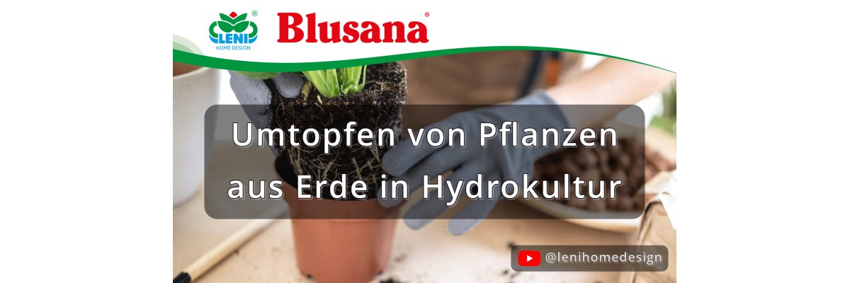 Neue Videos verfügbar - LENI-Home-Design - Neue Videos
