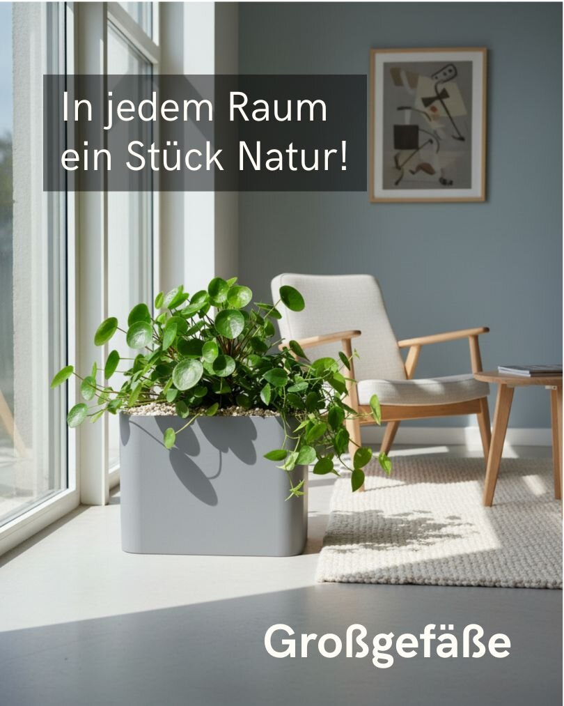 Hydrokultur Pflanzgefäße online kaufen