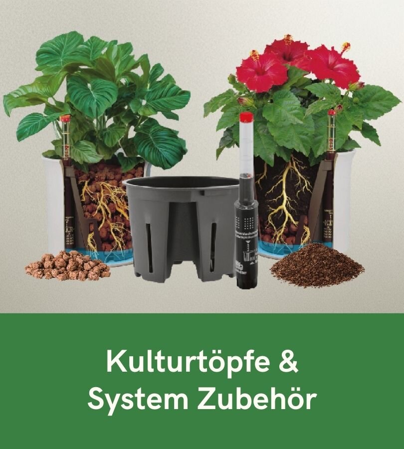 Hydrokultur Kulturtöpfe - online kaufen