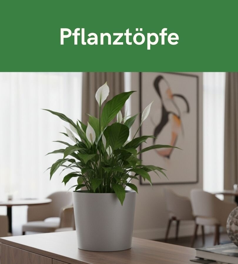Hydrokultur Blumentöpfe online kaufen