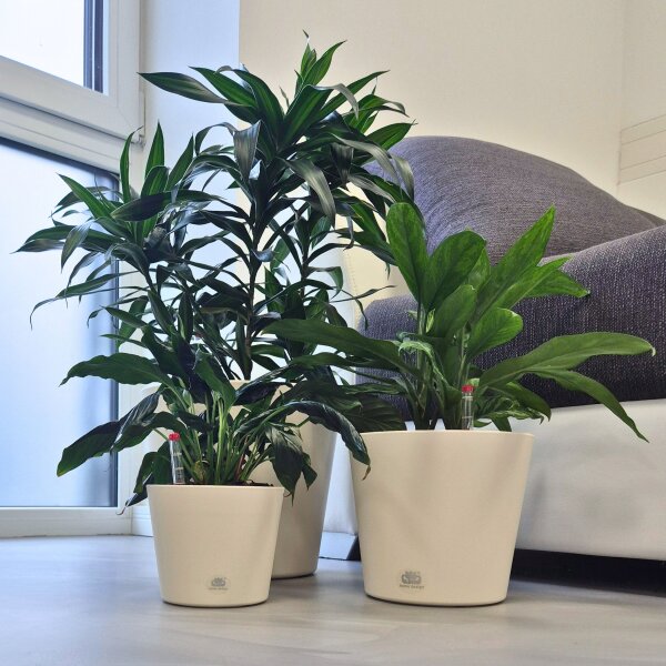 Flori Blumentopf Kunststoff rund konisch matt genarbt Pflanztopf für Outdoor Indoor