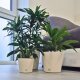 Flori Blumentopf Kunststoff rund konisch matt genarbt Pflanztopf für Outdoor Indoor