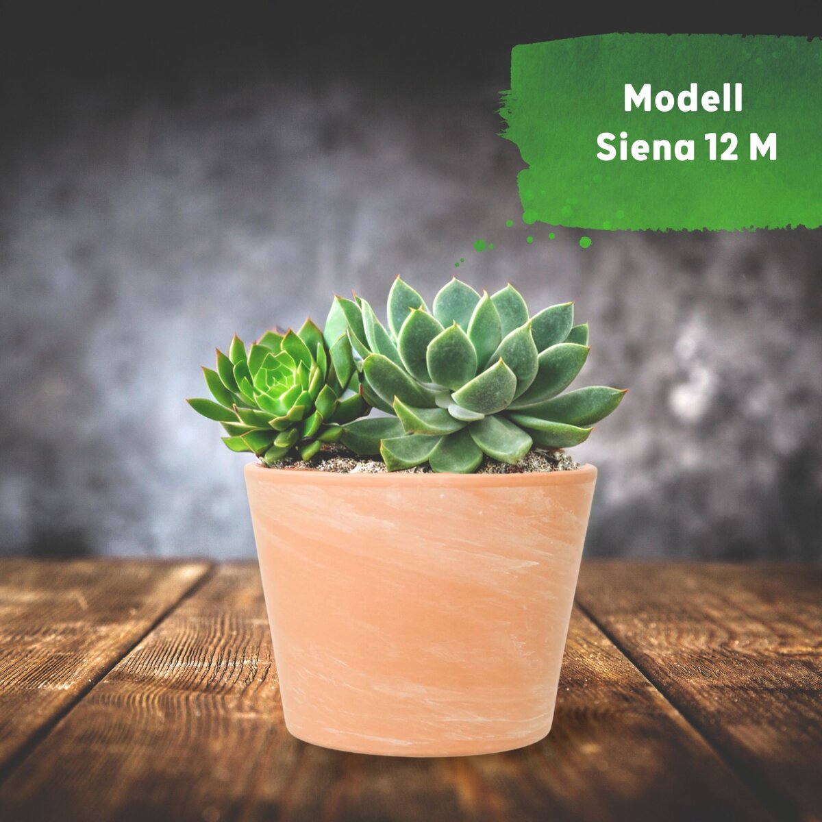 Siena Terrakotta Keramik bertopf Blumentopf rund terracotta-farben m