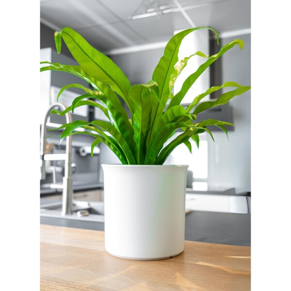 Atlas Blumentopf Kunststoff rund matt genarbt Pflanztopf für Outdoor Indoor