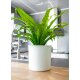 Atlas Blumentopf Kunststoff rund matt genarbt Pflanztopf für Outdoor Indoor