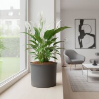 Leni Blumentopf Atlas Kunststoff Übertopf Ø...