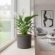 Leni Blumentopf Atlas Kunststoff Übertopf Ø 24 Höhe 20 cm rund Anthrazit matt Hydrokultur Pflanztopf für Zimmerpflanzen Outdoor Indoor