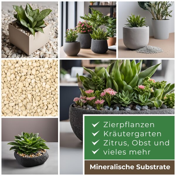 Blusana Bims und Lava Flüssigdünger 1 Liter NPK 10-4-6 Spezialdünger Mineralsubstrat EDTA-Chelate Pflanzendünger Zeolith