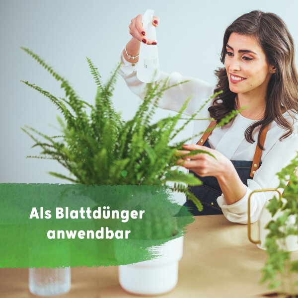 Blusana Bims und Lava Flüssigdünger 1 Liter NPK 10-4-6 Spezialdünger Mineralsubstrat EDTA-Chelate Pflanzendünger Zeolith