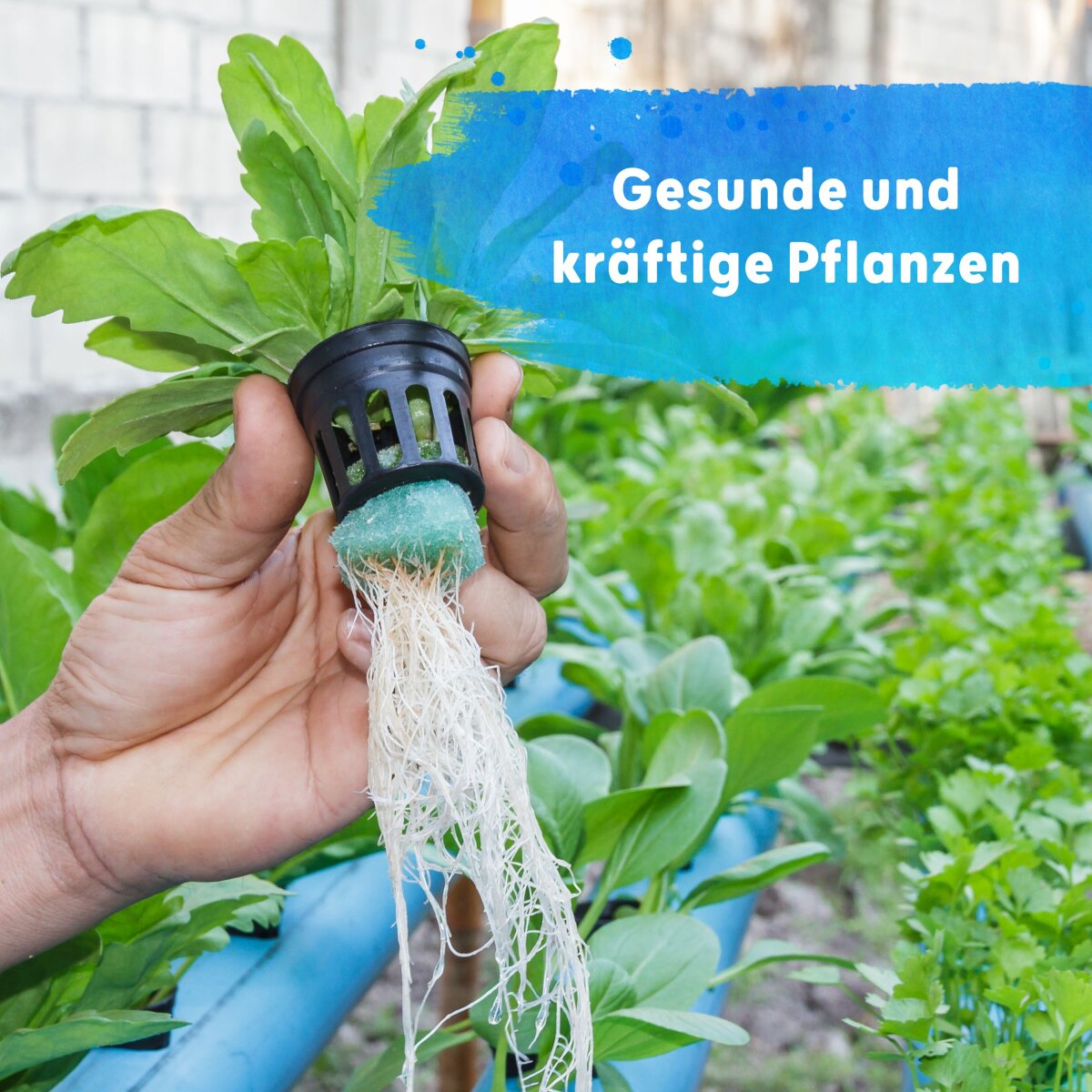 blütephase dünger Professional Line Cannabis Blüte All in One Dünger 1000g – Green2016