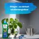 Blusana Hydroponik Flüssigdünger 1 Liter NPK 7-3-6 Hydrokultur Nährlösung EDTA-Chelate Leitungsschutz Pflanzendünger flüssig