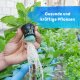 Blusana Hydroponik Flüssigdünger 1 Liter NPK 7-3-6 Hydrokultur Nährlösung EDTA-Chelate Leitungsschutz Pflanzendünger flüssig
