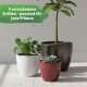 Sylt Blumentopf Keramik glänzend Pflanztopf für Indoor