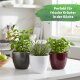 Sylt Blumentopf Keramik glänzend Pflanztopf für Indoor