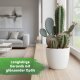Sylt Blumentopf Keramik glänzend Pflanztopf für Indoor