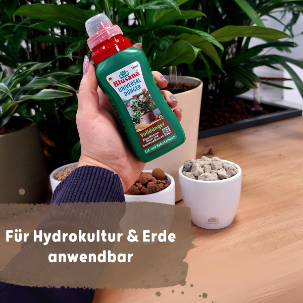 Blusana Universal Flüssigdünger 250 ml Flasche NPK 6-3-6 Konzentrat Zimmerpflanzen Hydrokultur Erdkultur Pflanzendünger flüssig