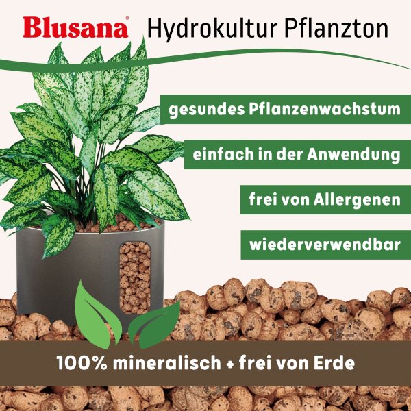 Blusana Pflanzton Blähton grobe Körnung 8-16mm | Hydrokultur Drainage Substrat | Erdbeimischung Pflanzgranulat