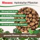 Blusana Pflanzton Blähton grobe Körnung 8-16mm | Hydrokultur Drainage Substrat | Erdbeimischung Pflanzgranulat