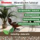 Blusana Mineralisches Pflanzsubstrat 10 Liter feines Pflanzgranulat 2-5mm | Semi-Hydrokultur Substrat vorgedüngt | Bims Zeolith Ton