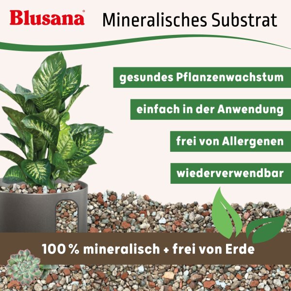Blusana Mineralisches Pflanzsubstrat feines Pflanzgranulat 2-5mm | Semi-Hydrokultur Substrat vorgedüngt | Bims Zeolith Ton