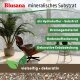 Blusana Mineralisches Pflanzsubstrat feines Pflanzgranulat 2-5mm | Semi-Hydrokultur Substrat vorgedüngt | Bims Zeolith Ton