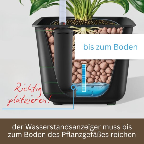 Vario Wasserstandsanzeiger IV für Zimmerpflanzen in Hydrokultur und Granulat – Gießanzeige optional verlängerbar klein bis groß