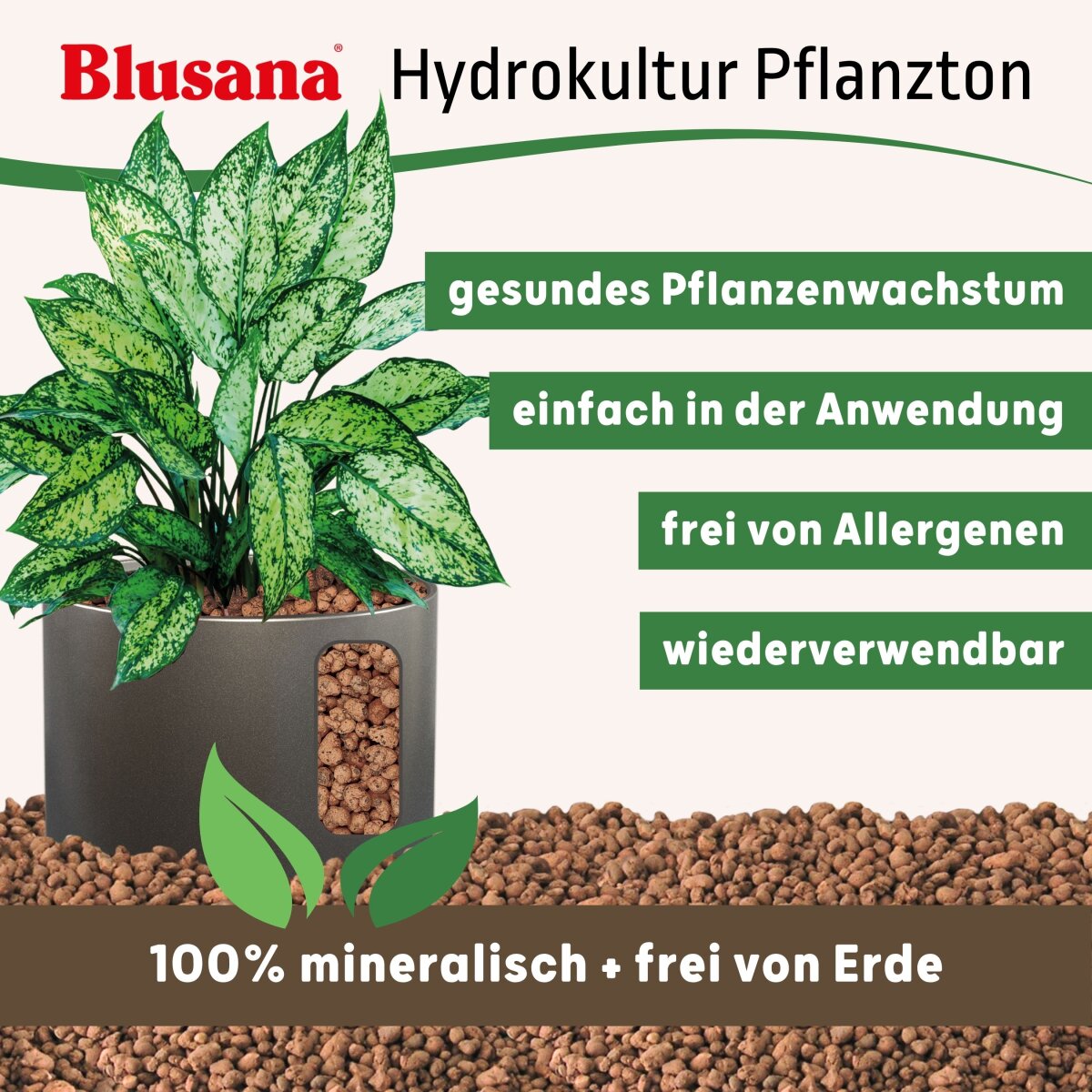Pflanzton 2-4mm feiner Blhton Hydrokultur | Blusana