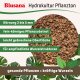 Blusana Pflanzton Blähton feine Körnung 2-4mm | Hydrokultur Drainage Substrat | Stecklinge Anzucht Zimmerpflanzen