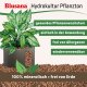 Blusana Pflanzton Blähton feine Körnung 2-4mm | Hydrokultur Drainage Substrat | Stecklinge Anzucht Zimmerpflanzen