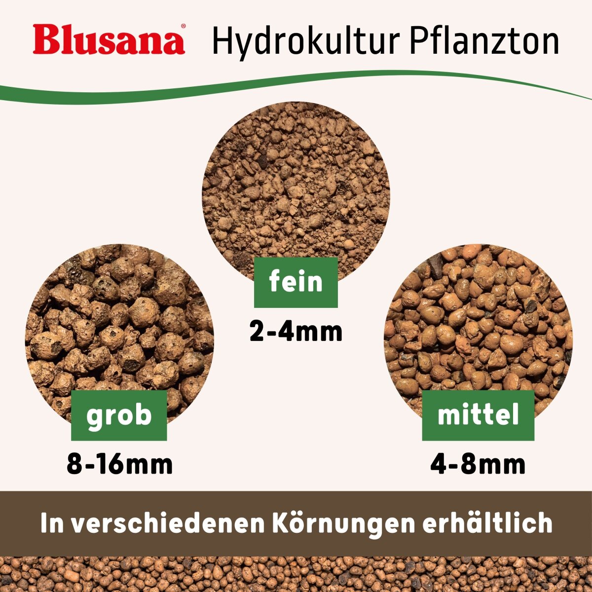 Pflanzton 4-8mm Blhton Hydrokultur | Blusana