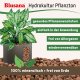 Blusana Pflanzton Blähton Körnung 4-8mm | Hydrokultur Drainage Substrat | Zimmerpflanzen Erdbeimischung Semi-Hydro