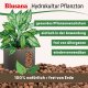 Blusana Pflanzton 10 Liter Blähton Körnung 4-8mm | Hydrokultur Drainage Substrat | Zimmerpflanzen Erdbeimischung Semi-Hydro