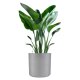 LENI BAVARIA rondo RD36 Pflanzgefäß rund Ø 36 cm groß | Pflanztopf für Hydrokultur Erde Indoor Outdoor geeignet