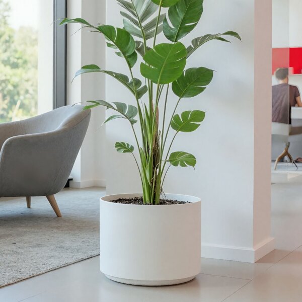 LENI BAVARIA rondo RD50 Pflanzgefäß rund Ø 52 cm groß | Pflanztopf für Hydrokultur Erde Indoor Outdoor geeignet