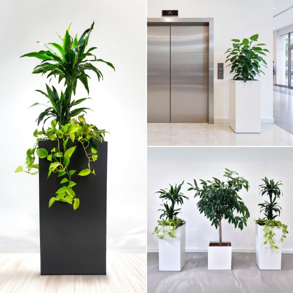 ELEGANCE alto quadro QU40/75H Pflanzgefäß quadratisch | verschiedene Farben und Oberflächen | Säulengefäß Hydro-Tiefe