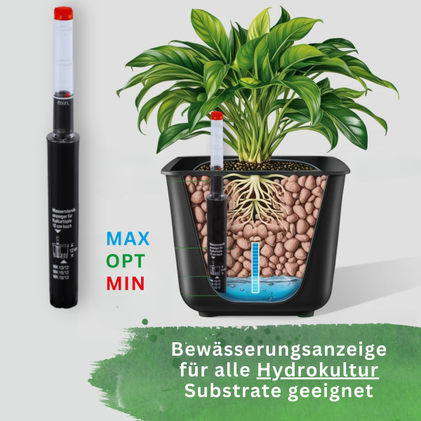 Leni Wasserstandsanzeiger II/19 Pegulator | Hydrokultur Gießanzeige für Kulturtopf Pflanztiefe 19 cm
