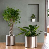 ELEGANCE rondo RD37 Pflanzgefäß rund |...