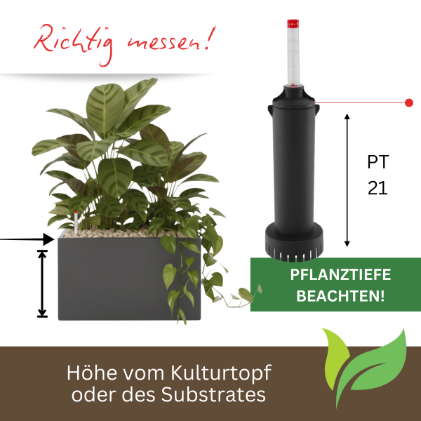 Leni Vario Wasserstandsanzeiger IV Pegulator | Hydrokultur Gießanzeige für mittelgroße Pflanzgefäße Pflanztiefe 21 cm verlängerbar bis 52 cm