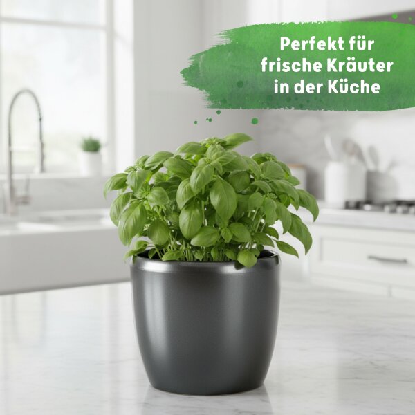 Venus Blumentopf Keramik glänzend Pflanztopf für Indoor