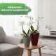 Quarta Blumentopf Keramik glänzend Pflanztopf für Indoor