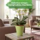 Quarta Blumentopf Keramik glänzend Pflanztopf für Indoor