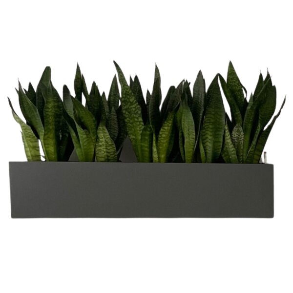 ELEGANCE muro 60x16/15 Pflanzgefäß rechteckig | verschiedene Farben und Oberflächen | Wandgefäß