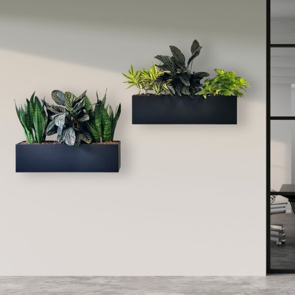 ELEGANCE muro 60x16/15 Pflanzgefäß rechteckig | verschiedene Farben und Oberflächen | Wandgefäß