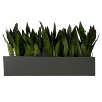 ELEGANCE muro 60x16/15 Pflanzgefäß rechteckig...