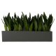 ELEGANCE muro 60x16/15 Pflanzgefäß rechteckig | verschiedene Farben und Oberflächen | Wandgefäß