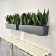 ELEGANCE muro 100x22/22H Pflanzgefäß rechteckig | verschiedene Farben und Oberflächen | Wandgefäß Hydro-Tiefe