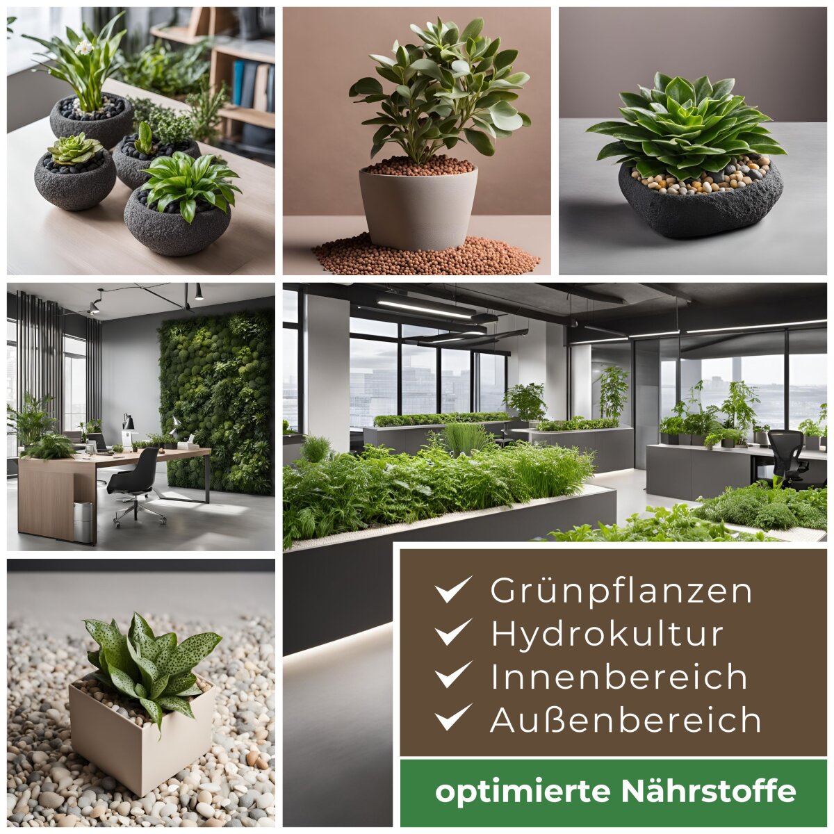 Lewatit HD 50 NPK Langzeitdnger fr Hydrokultur | Blusana