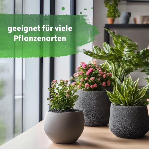 Blusana Langzeitdünger Lewatit HD 50 Dose 200 ml NPK Ionenaustauscher Granulat Hydrokultur Zimmerpflanzen Pflanzendünger