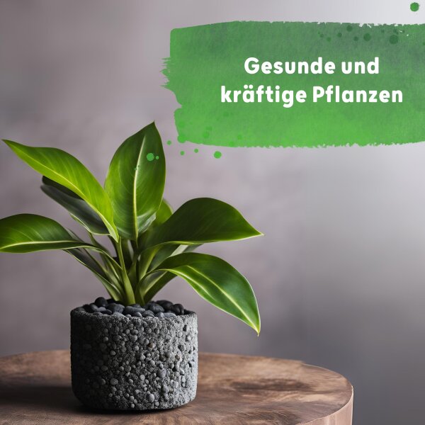 Blusana Langzeitdünger Lewatit HD 50 Dose 200 ml NPK Ionenaustauscher Granulat Hydrokultur Zimmerpflanzen Pflanzendünger