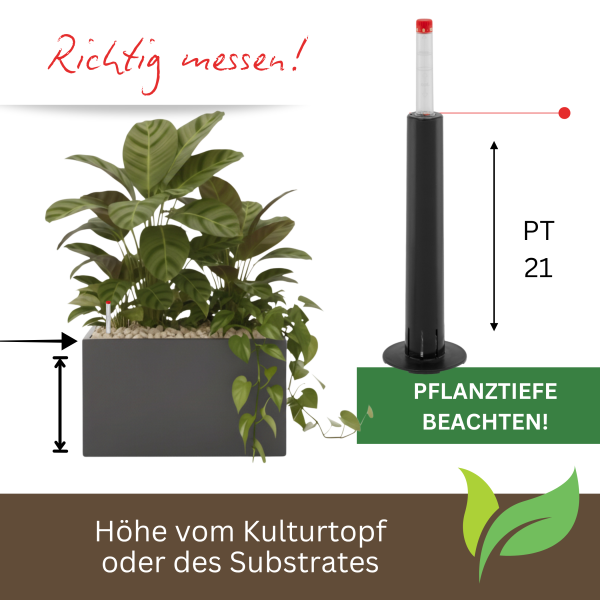 Wasserstandsanzeiger III Pegulator | Hydrokultur Gießanzeige für mittelgroße Pflanzgefäße Pflanztiefe 21 cm